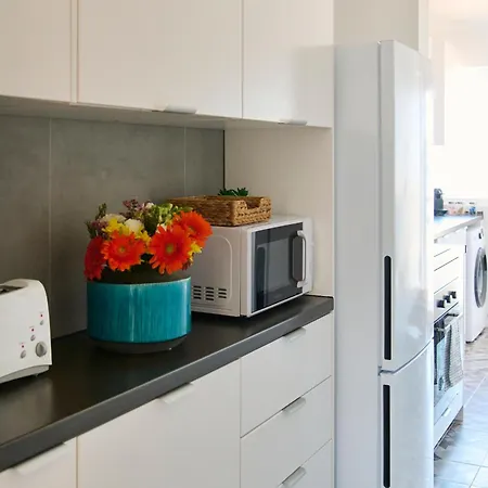 River Birds View, By Timecooler