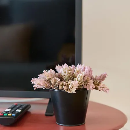 River Birds View, By Timecooler *